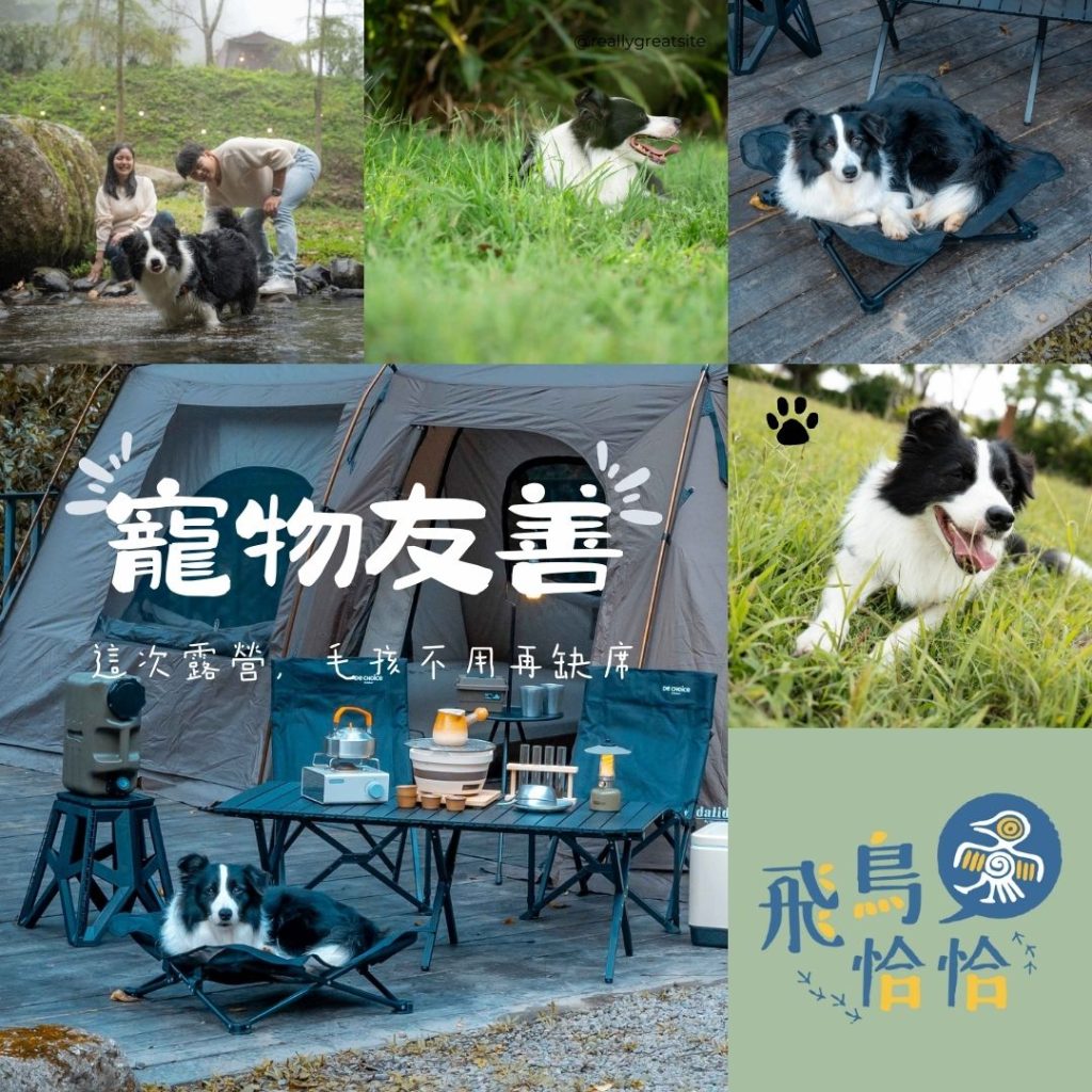 新竹寵物友善露營推薦|在飛鳥恰恰和毛孩創造最美的山林回憶
